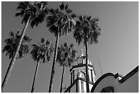 Church and palm trees, Tlaquepaque. Jalisco, Mexico ( black and white)