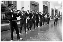 Band of mariachi musicians at night, Tlaquepaque. Jalisco, Mexico ( black and white)