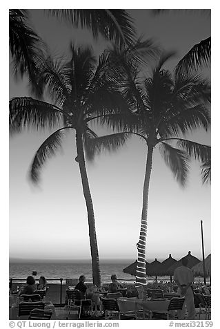 Outdoor restaurant with palm trees at sunset, Nuevo Vallarta, Nayarit. Jalisco, Mexico (black and white)