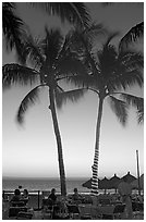 Outdoor restaurant with palm trees at sunset, Nuevo Vallarta, Nayarit. Jalisco, Mexico ( black and white)