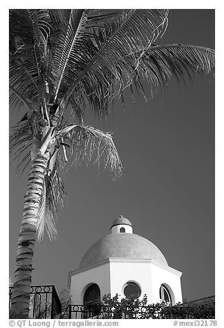 Palm tree and  blue dome, Puerto Vallarta, Jalisco. Jalisco, Mexico