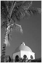 Palm tree and  blue dome, Puerto Vallarta, Jalisco. Jalisco, Mexico ( black and white)