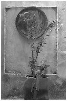 Potted plant and decorative platter on a wall, Puerto Vallarta, Jalisco. Jalisco, Mexico ( black and white)