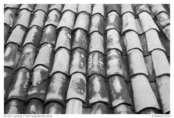 Detail of red tiled roof, Puerto Vallarta, Jalisco. Jalisco, Mexico (black and white)