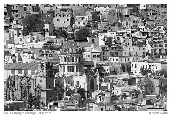 City center from above  with dome of Templo de la Compania de Jesus. Guanajuato, Mexico (black and white)