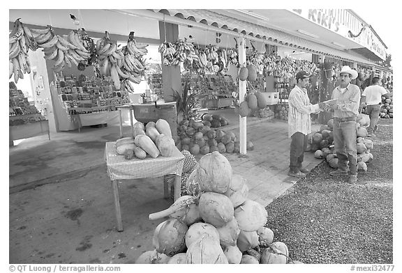 Roadside fruit stand. Mexico (black and white)