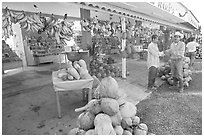Roadside fruit stand. Mexico (black and white)