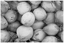 Coconuts. Mexico ( black and white)