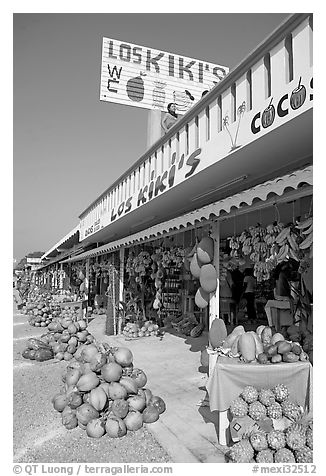 Row of tropical fruit stands. Mexico