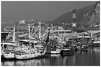 Fishing fleet, Ensenada. Baja California, Mexico ( black and white)