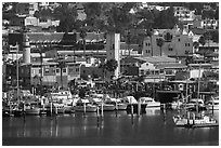 Yachts and waterfront, Ensenada. Baja California, Mexico ( black and white)