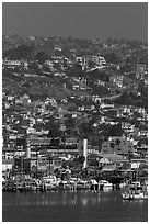 Harbor and hillside houses, Ensenada. Baja California, Mexico (black and white)