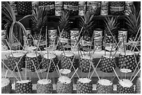 Pinacoladas prepared in pineapple shells. Baja California, Mexico (black and white)