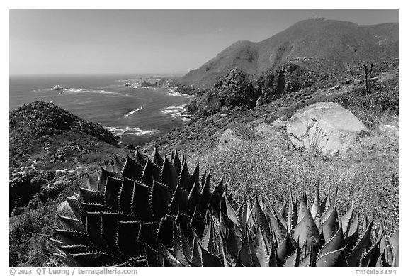 Mountainous Pacific coastline. Baja California, Mexico (black and white)