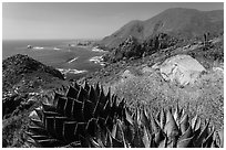 Mountainous Pacific coastline. Baja California, Mexico ( black and white)