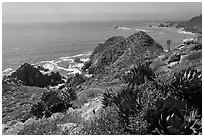 Succulent plants and Pacific coastline. Baja California, Mexico ( black and white)