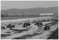 Beach with shade palapas and horseman, Ensenada. Baja California, Mexico ( black and white)