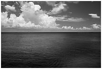 Blue Gulf waters. Cozumel Island, Mexico ( black and white)
