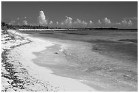 Sandy beach. Cozumel Island, Mexico ( black and white)