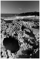 Rock with sea arches, El Mirador. Cozumel Island, Mexico ( black and white)