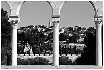 Spires and Mount of Olives seen through arches. Jerusalem, Israel (black and white)