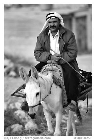 Arab man riding a donkey, Hebron. West Bank, Occupied Territories (Israel) (black and white)