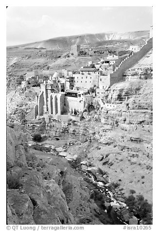 Mar Saba Monastery and steep Kidron River gorge. West Bank, Occupied Territories (Israel)