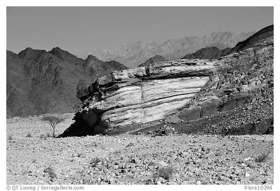 Cliff and mountains. Negev Desert, Israel (black and white)