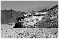 Cliff and mountains. Negev Desert, Israel ( black and white)