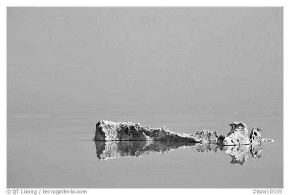 Salt formations reflected in the Dead Sea. Israel (black and white)