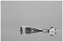Salt formations reflected in the Dead Sea. Israel ( black and white)