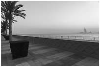 Promenade, Palm Jumeira. United Arab Emirates ( black and white)