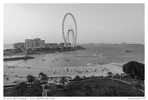 Beach and Ain Dubai Ferris Wheel. United Arab Emirates (black and white)
