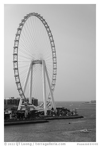 Ain Dubai Ferris Wheel, largest in the world. United Arab Emirates (black and white)