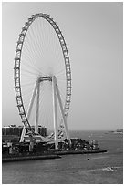 Ain Dubai Ferris Wheel, largest in the world. United Arab Emirates ( black and white)