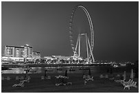 JBR Beach and Ain Dubai Ferris Wheel at night. United Arab Emirates ( black and white)