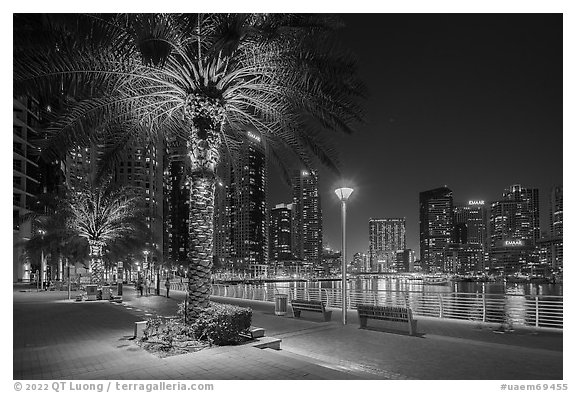 Marina Promenade at night. United Arab Emirates (black and white)