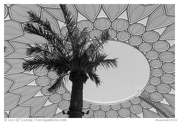 Looking up Al Wasl. Expo 2020, Dubai, United Arab Emirates (black and white)