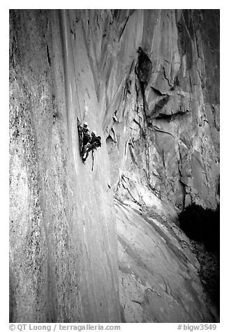 Party on the wall of early morning light, El Capitan. Yosemite, California