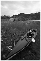 Camp on the flats near McBride Glacier with kayak parked nearby. Glacier Bay National Park, Alaska (black and white)