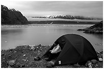 Camp on an outcrop overlooking the East Arm. Glacier Bay National Park, Alaska (black and white)