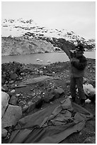 Setting up a tent in front of Lamplugh Glacier. Glacier Bay National Park, Alaska (black and white)