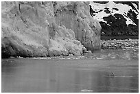 Kayaker dwarfed by the front of Lamplugh Glacier. Glacier Bay National Park, Alaska (black and white)