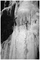 Stalactite of the Moulins Falls, La Grave. Alps, France (black and white)
