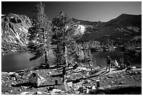Camping near Woods Lake, Kings Canyon National Park. Kings Canyon National Park ( black and white)