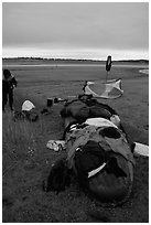 Gear laid out for drying on the bottom of the canoe on a small island of the Kobuk River. Kobuk Valley National Park, Alaska (black and white)