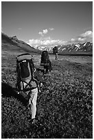Backpackers with heavy packs. Lake Clark National Park, Alaska (black and white)