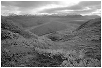 Tundra, braided rivers, Alaska Range at Polychrome Pass. Denali National Park, Alaska, USA. (black and white)