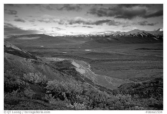 Tundra, braided rivers, Alaska Range in the evening from Polychrome Pass. Denali National Park (black and white)