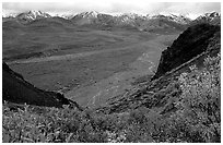 Tundra, wide valley with rivers, Alaska Range in the evening from Polychrome Pass. Denali National Park, Alaska, USA. (black and white)